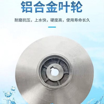 不锈钢无刷智能直流12v潜水泵高扬程48V60V72v电瓶车 抽水大流量泵图5