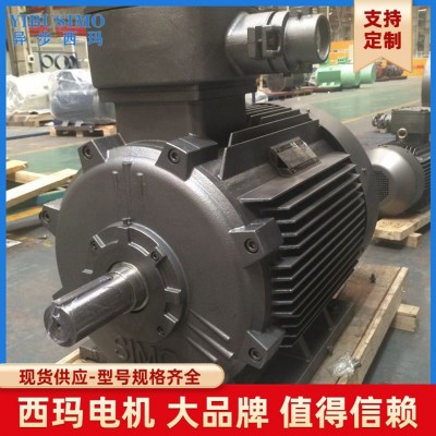 15KW防爆三相异步电动机YBX4/YBX3-160L-4 15KW隔爆电机厂家批发图3