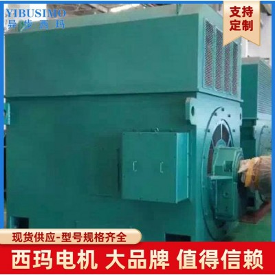 355千瓦 400KW西安西玛电机 YRKK高压绕线型交流三相异步电机图4