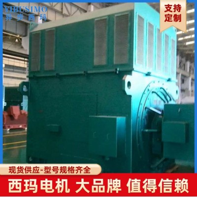 355千瓦 400KW西安西玛电机 YRKK高压绕线型交流三相异步电机图3