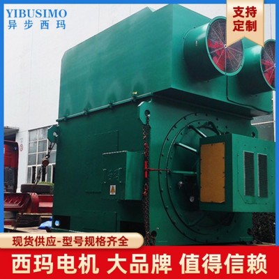 355千瓦 400KW西安西玛电机 YRKK高压绕线型交流三相异步电机图2
