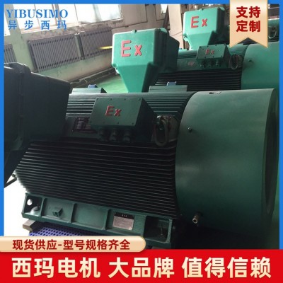 立式卧式隔爆型900KW三相异步电动机 380v交流异步防爆电机批发图3
