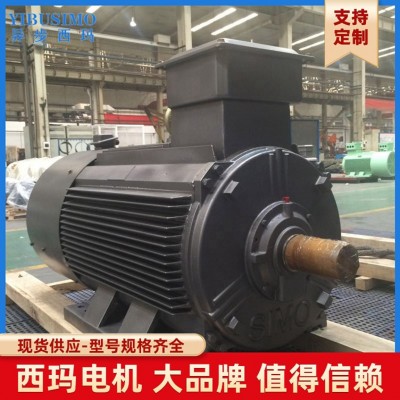 西玛牌160KW变频节能电机 低压变频交流三相异步电动机厂家直销图3