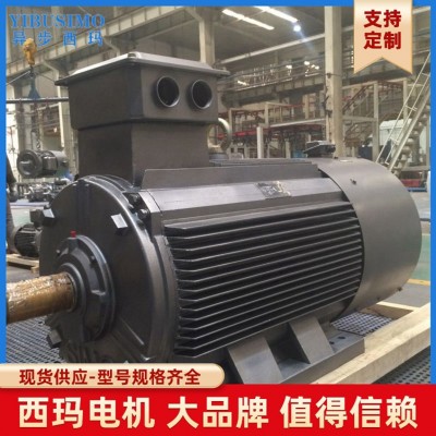 西玛牌160KW变频节能电机 低压变频交流三相异步电动机厂家直销图4