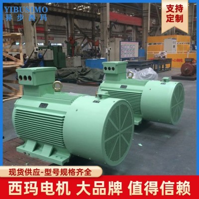 西玛牌160KW变频节能电机 低压变频交流三相异步电动机厂家直销图5