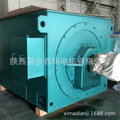 Y系列高压电机220KW-8000KW 6KV/10KV西玛三相异步电机 四极4极图3