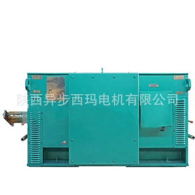 Y系列高压电机220KW-8000KW 6KV/10KV西玛三相异步电机 四极4极图5