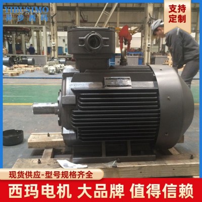 隔爆型三相异步电动机 二级能效矿用西玛电机 纯铜线圈低噪电动机图3