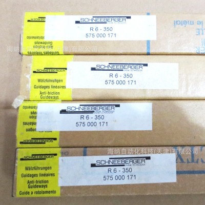 SCHNEEBERGER/施耐博格交叉滚子导轨R6200/3100/2045/RNG6-100图5