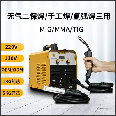 欧规220V美规110V NBC-315无气二保焊电焊机药芯焊丝两用电焊机图2