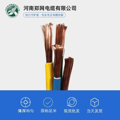 VVR RVVZ铜芯软电缆 10平方16平方铜芯国标控制电缆 RVVZ软电缆图3