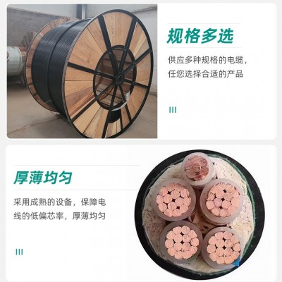 电缆线国标铜芯YJV铝芯YJLV钢带22多芯三相四线工程电力电线电缆图4