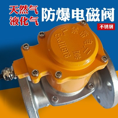 天然气防爆法兰不锈钢电磁阀电磁控制阀AC220V燃气柴油DC24V气阀图2