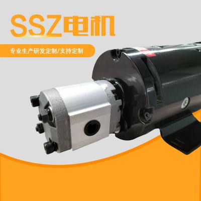 铄世哲电机24V3KW液压直流电机带齿轮泵高转速高空作业励磁马达图4