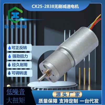 厂供25-2838无刷12V24V内置驱动霍尔低噪音微型直流减速电机马达图2