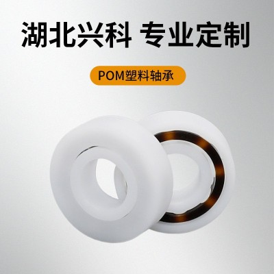 POM塑料轴承塑料轴耐腐蚀POM工程塑料深沟球轴承汽车设备6004轴承图2