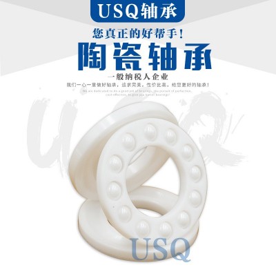 调心氧化锆全陶瓷轴承1200 1201 1202 1203 1204 1205 1206 1207图3