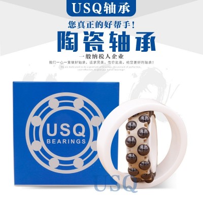 调心氧化锆全陶瓷轴承1200 1201 1202 1203 1204 1205 1206 1207图2