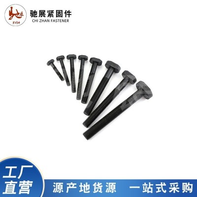8.8级10.9级高强度T型螺栓T形螺丝碳钢 压板螺栓梯形槽螺杆图4