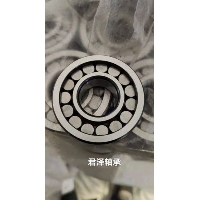 正品变速箱满滚子轴承M30-30 07NU1026-4VH外贸专用非标轴承图5