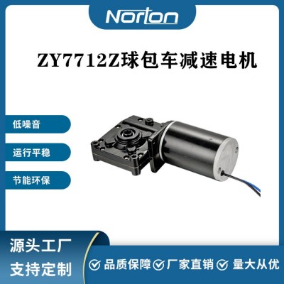 ZY7712Z 200W24V 高尔夫球包车电机 有刷直流减速电机图4