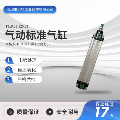 标准气缸薄型带磁可调气动缸DNT气缸1319.32.125.01气动标准气缸图4