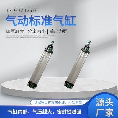 标准气缸薄型带磁可调气动缸DNT气缸1319.32.125.01气动标准气缸图3