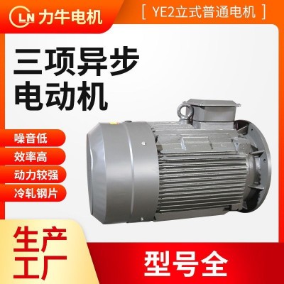 三相异步电动机Y80-2-0.75全铜线立卧式电机压缩机设备用2级电机图2