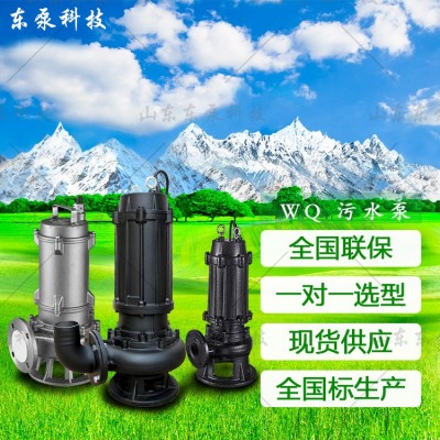 山东东泵 不锈钢耐腐蚀304国标排污泵 高效无堵塞化粪池用排污泵图3