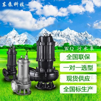 山东东泵 不锈钢耐腐蚀304国标排污泵 高效无堵塞化粪池用排污泵图2