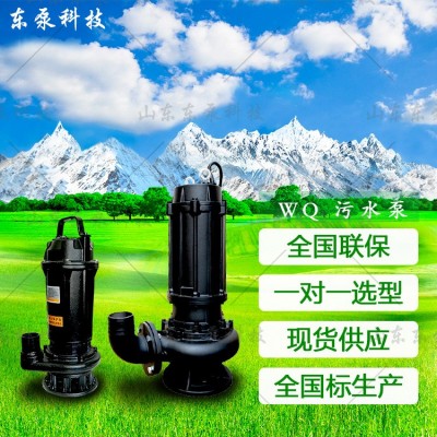 山东东泵 不锈钢耐腐蚀304国标排污泵 高效无堵塞化粪池用排污泵图4