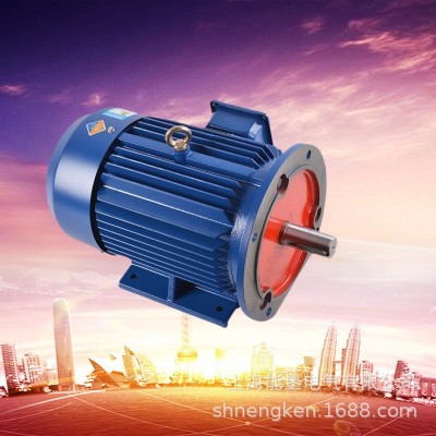三相异步电动机YE3/YX3/YE2/Y2-100L2-4 3KW380V铜芯交流电机马达图2