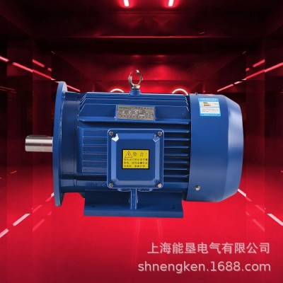 三相异步电动机YE3/YX3/YE2/Y2-100L2-4 3KW380V铜芯交流电机马达图4