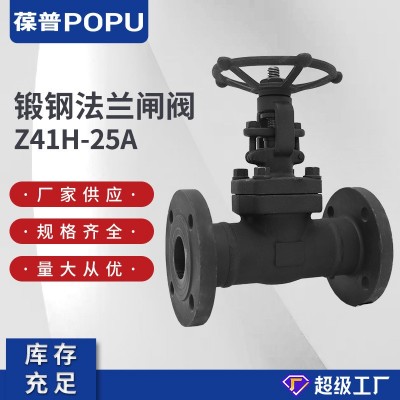 Z41H-25C锻钢法兰闸阀高温高压闸阀A105材质手动明杆闸阀源头工厂图2