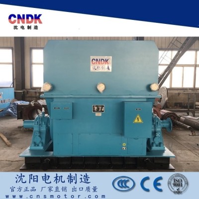YK系列高压电机 6KV或10KV YK大型高速三相异步电动机图2