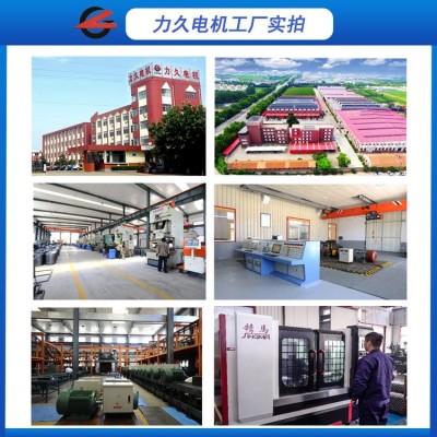 力久TYPL隔爆永磁变频油田螺杆泵专用电动机动力强劲源头工厂图4