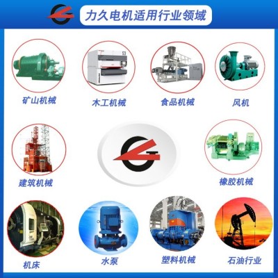 力久TYPL隔爆永磁变频油田螺杆泵专用电动机动力强劲源头工厂图3