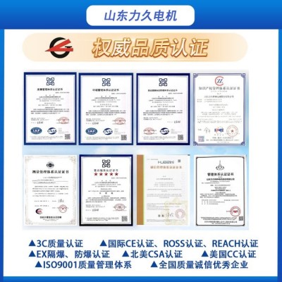 YBX4高效率隔爆型三相异步电动机 工厂矿用防爆全封闭安全性高图2