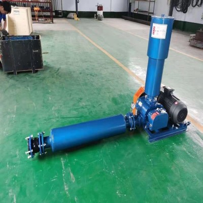 厂家生产 CQSR-65罗茨风机 输送建筑材料设备罗茨鼓风机高效图2