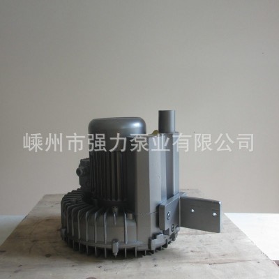 旋涡气泵(750W喷水储纬风机)带T型脚板脚板电雕机配套风图4