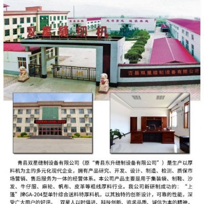 上篷GA204-104A上下送料二点粗线曲折工业缝纫机工厂用绗缝机图3