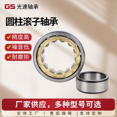 A原厂供应直销轴承 圆柱滚子轴承 NJ305EM/C3减速机 用二类轴承图3